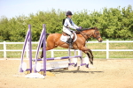SBM_001153