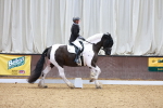 SBM_002377
