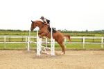 SBM_001644