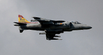 HARRIER 06