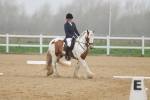 SBM_000882