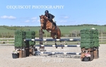 BPP_3187