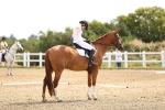 SBM_000339
