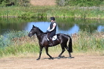 WJ7_6934