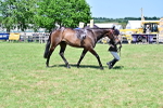 SBM_18239