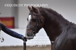 BPP_2872