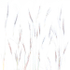 HIGH KEY GRASSES, 2017 - NORFOLK COUNTY