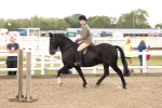 SBM_02908