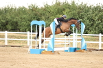 SBM_025461
