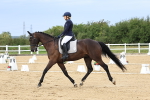 SBM_014146