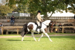 SBM_50181