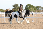 SBM_10882