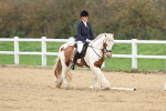 SBM_000675