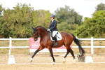 SBM_007441