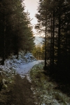 A Drumkeragh path