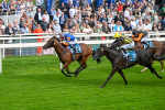 080925-Race 4-Zain Blue-7622