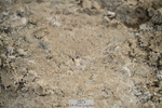 251004A-170442-02374