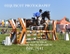 BPP_7641