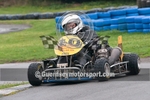 Kart_2010-119