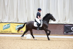 SBM_008276