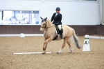 SBM_000913