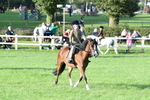 SBM_54028