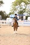 SBM_16053