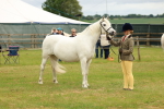 SBM_04227