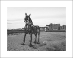 'The Lifeboat Horse' Wells Quay