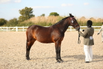 SBM_08594