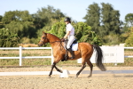 SBM_007783