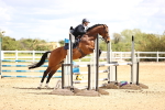 SBM_003782