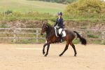 SBM_001198