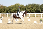 SBM_017456