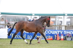 SBM_09784
