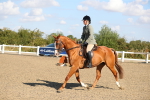 SBM_02367