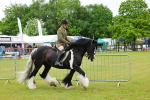 SBM_01136