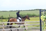 BPP_1768