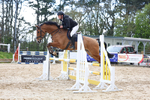 3E7A1134