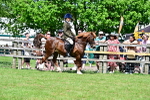 SBM_07890