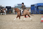 SBM_006134