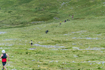 Wasdale-1205