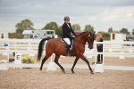 Class 32 - Novice 1 portfolio