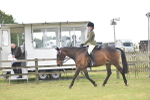 SBM_15969