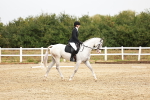 SBM_001585