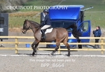 BPP_8664