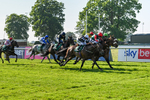 180524-Race 6-Diamondonthehill-Yorkshire-9802