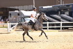 SBM_001895