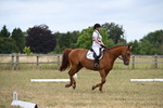 WJ6_0464