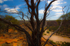 The Outback II